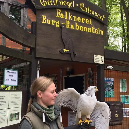 Hotel Burg Rabenstein 3*